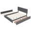 Grand lit tapissier avec 2 tiroirs et 1 lit gigogne simple TG - Gris foncé et gigogne foncé-251764490