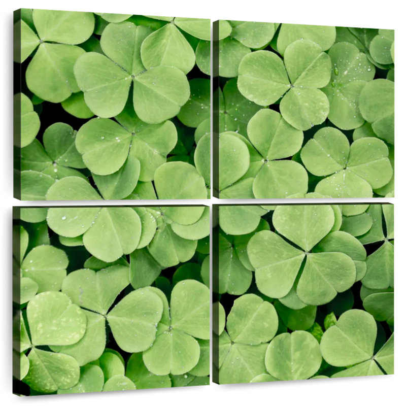 Harnek Patch Of Shamrock