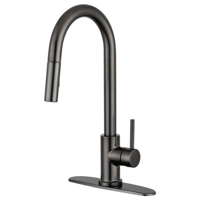 Pacific Bay Bellevue Pull Down Kitchen Faucet