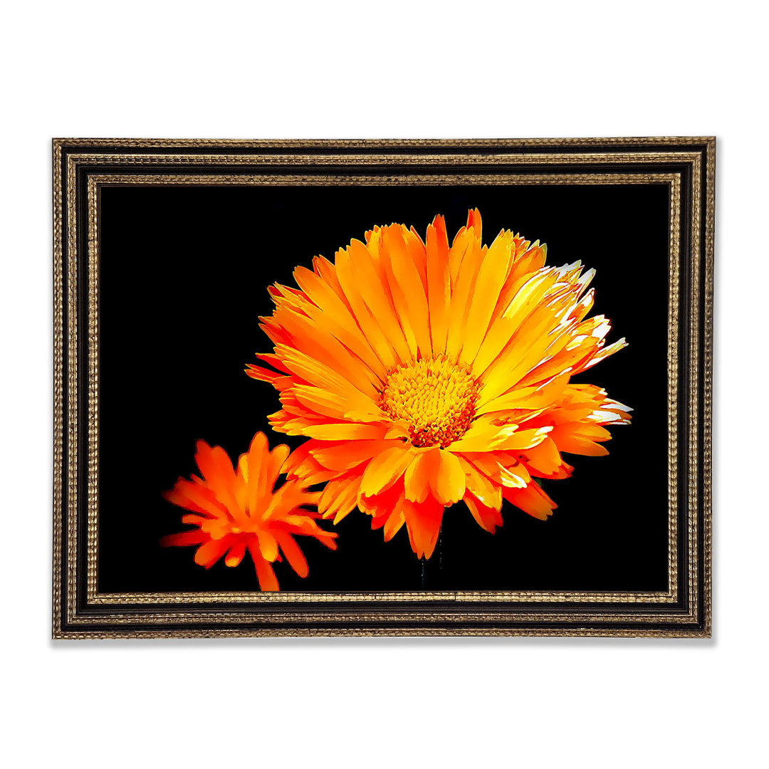 Leuchtend orangefarbene Gerberas - Druck