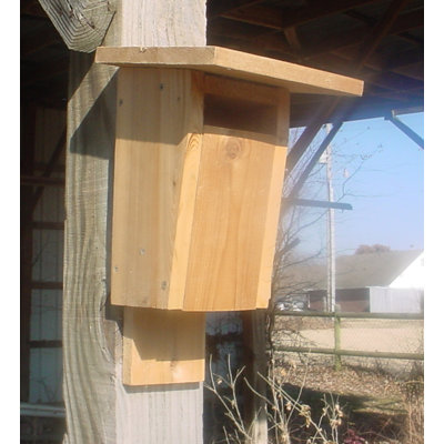 Hortencia Sparrow Resistant Bluebird House