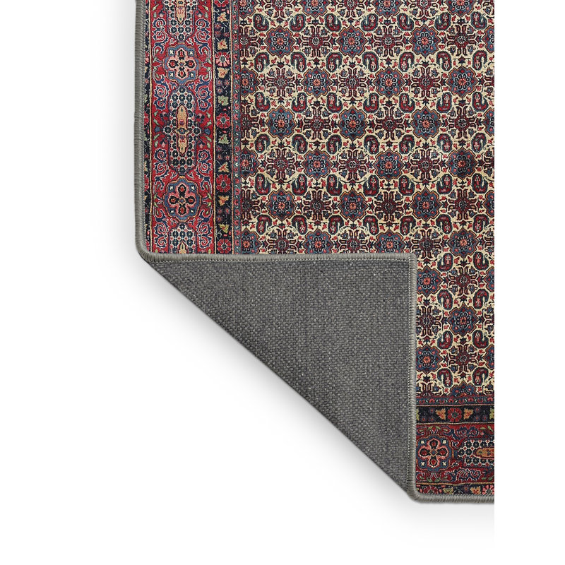 Zichichi Oriental Indoor Rug, Rectangle 3' x 5'