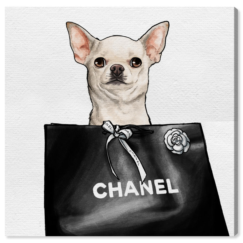 Chihuahua Glam - Impression sur toile, H 40 po x l 40 po