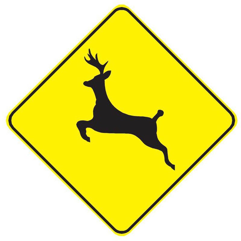 Non-Wall Damaging Wall Decal, 36" H x 36" W