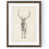 Espresso Framed Print