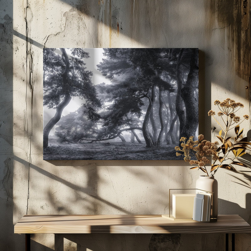 Wrapped Canvas Print, 50.8 cm H x 76.2 cm W
