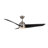 Thalia 54'' Ceiling Fan with LED Lights-95320079-95320082