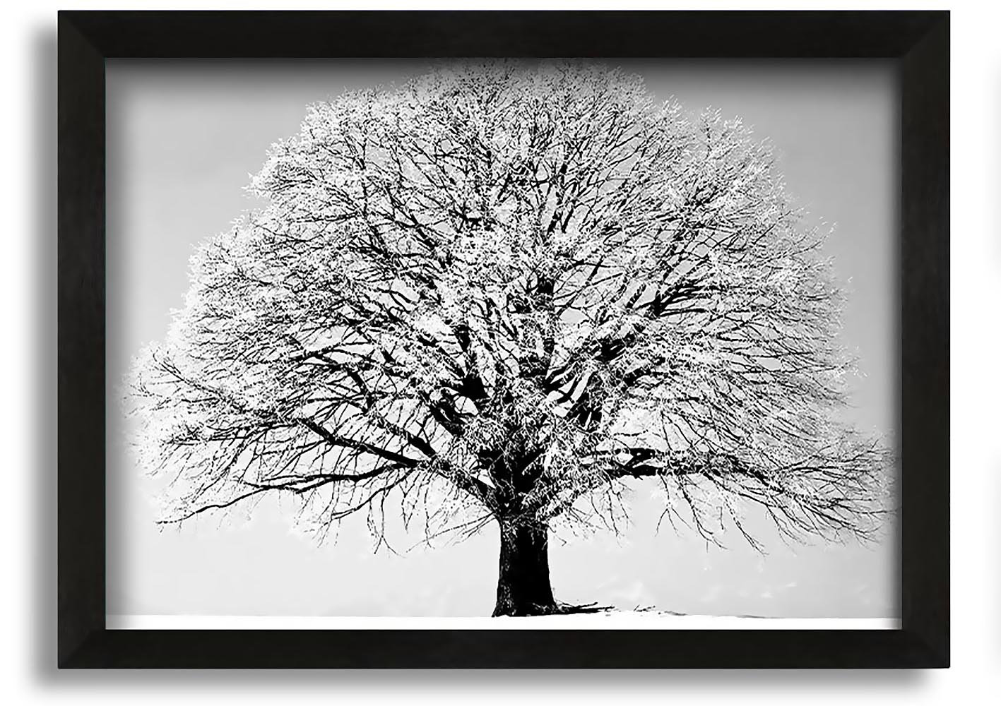Brayden Studio Winter Tree - Picture Frame Photograph on Canvas ...