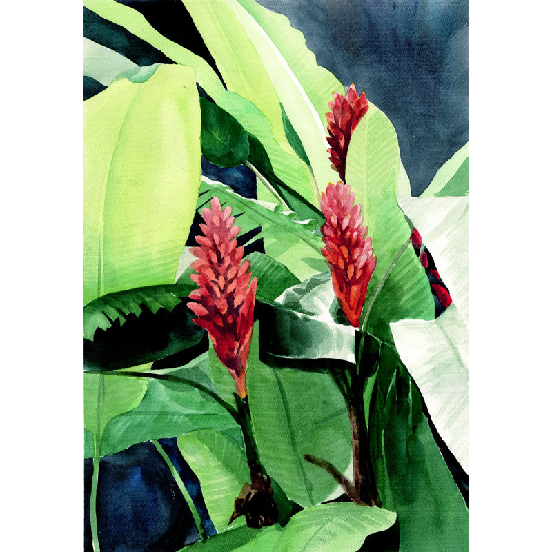 Tropical Plants - Painting Print, Black Floater Framed, 46cm H x 30cm W