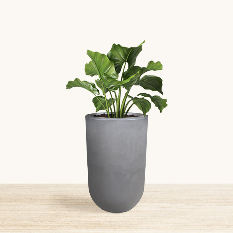 Pot à fleurs rond de 19,7 pouces Petar ECOBO, utilisation intérieure et extérieure Decora, H 24,8 po x l 15,7 po x P 15,7 po
