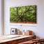 Chêne, reproduction sur toile-98864843