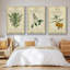 Linnaean Botany II - Ensemble de 3 reproductions encadrées sur toile-921736442-921736443