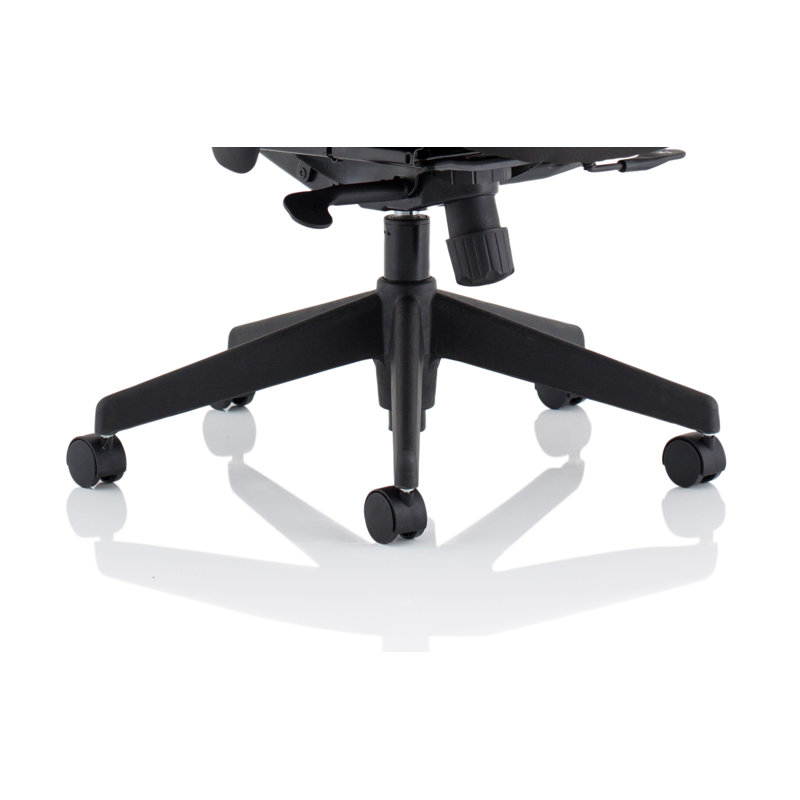 Makhari Task Chair with Headrest
