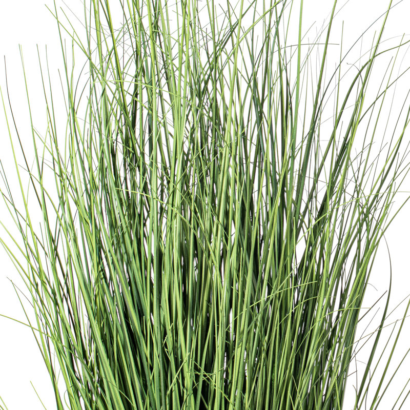 Kellan PVC Artificial Potted Green Curled Grass, 36" H x 18" W x 18" D