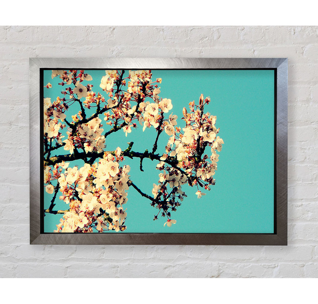 Blossom Tree Against A Blue Sky - Einzelner Bilderrahmen Kunstdrucke