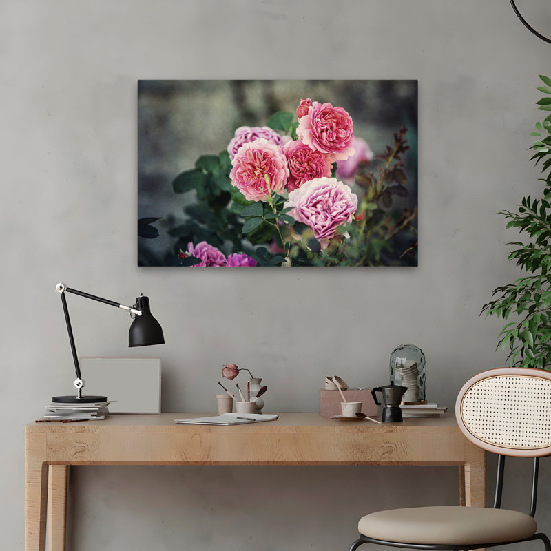 Plantes, fleurs, roses d'Ecosse I, art mural, H 16 po x l 24 po