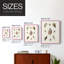Knorr Shells & Coral IX, reproduction encadrée - bois massif-1070422422-1070422400