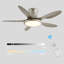 Antsje 122cm Ceiling Fan with LED Lights
