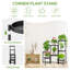 Plant Stand - Set of 8