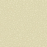 Landscape Plains Pebble Stone Wallpaper Roll