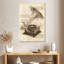 Vieux Gramophone Abarca-108371847