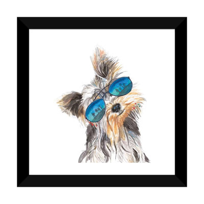 " Yorkie With Shades " by Patricia Pinto