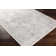 Shyann Machine-Woven Oriental Grey Area Rug