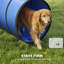 Dog Agility-124016484