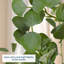 Arbre d'eucalyptus artificiel de 7 pi, grande plante d'eucalyptus avec des feuilles de dollar argenté, faux arbre d'intérieur en grange de poterie blanche pour la maison, le bureau, le salon, le décor moderne-693984228-693984230