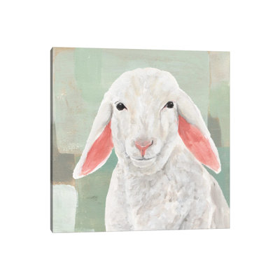 Cotton Ball I by Annie Warren - Wrapped Canvas Print