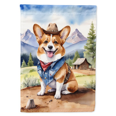 Drapeau Cowboy Welcome House