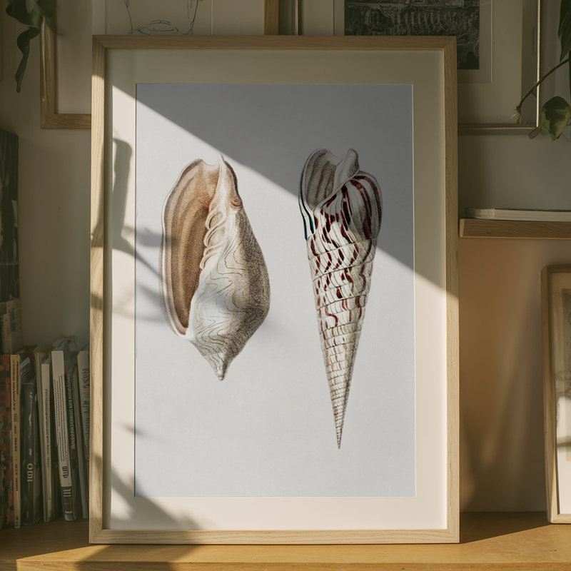 Wrapped Canvas Print, 76.2 cm H x 50.8 cm W