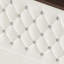 Structure de lit double capitonnée en velours pleine grandeur avec port USB et veilleuse, tête de lit haute 52 po avec rivets, lit plateforme à oreilles avec tablette de tête de lit, beige-1069295378-1069295376