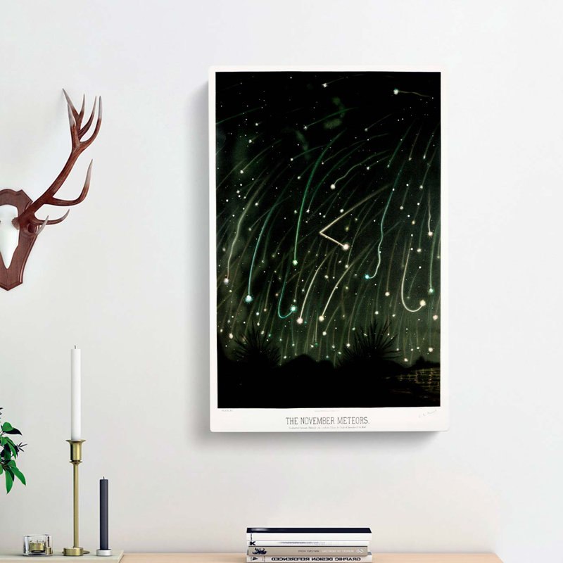 November Meteors by E. L. Trouvelot - Wrapped Canvas, 60cm H x 40cm W x 3cm D