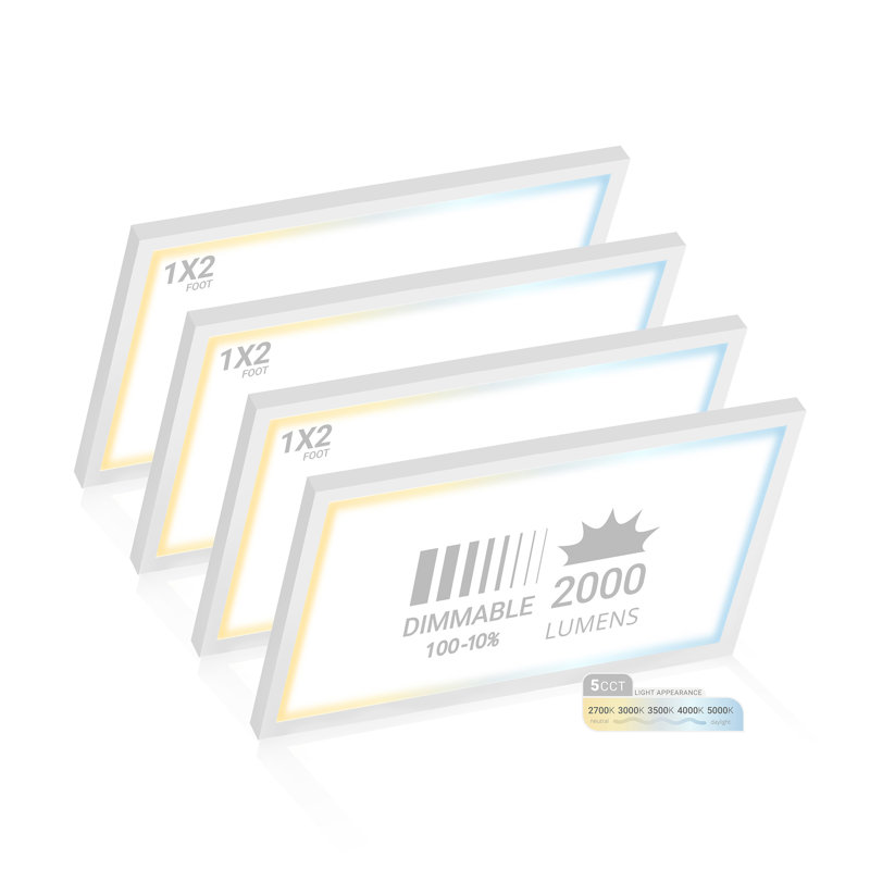 Dimmable Rectangle Flush Mount