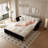 74.8" Queen Pull Out Sofa Bed, 3-In-1 Convertible Sleeper Tufted Sofa With 2 Soft Pillows,Multi-Functional Velvet Loveseat Bed,Beige/White(New Sku:W1885S00168/W1885S00216)-1966117236-1966117238