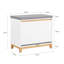 Camylle Shoe Storage Cabinet