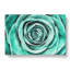 Mint Green Rose - Wrapped Canvas-56639477