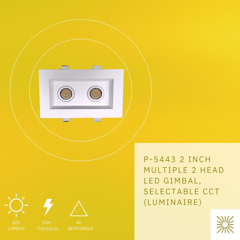 Perlglow 2" 2 Head White 10W ‎800 Lumens 5CCT Gimbal Light
