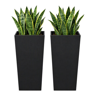 Pots à fleurs modernes en résine pour l'intérieur et l'extérieur, pots à fleurs rectangulaires pour arbres, paquet de 2 (noir / blanc)