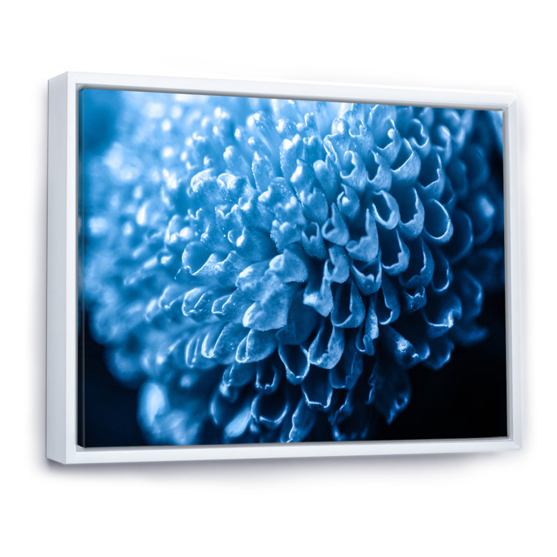«Blue Chrysanthemum Flower Element», reproduction sur toile flottante, H 30 po x l 40 po x P 1,5 po, Cadre flottant blanc
