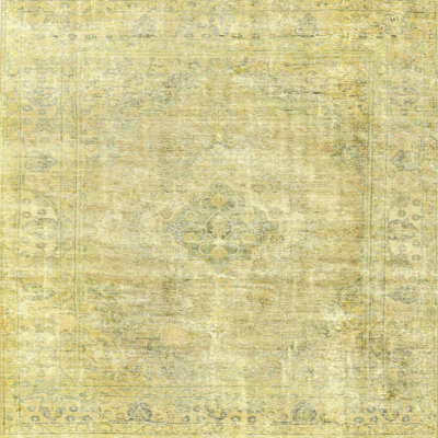 Oriental Indoor Rug