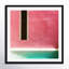 Rose mexicain, rosé mexicain-254912557-254912556-254912559