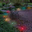 Electric Pathway Lights with 10 Bulbs-60323982