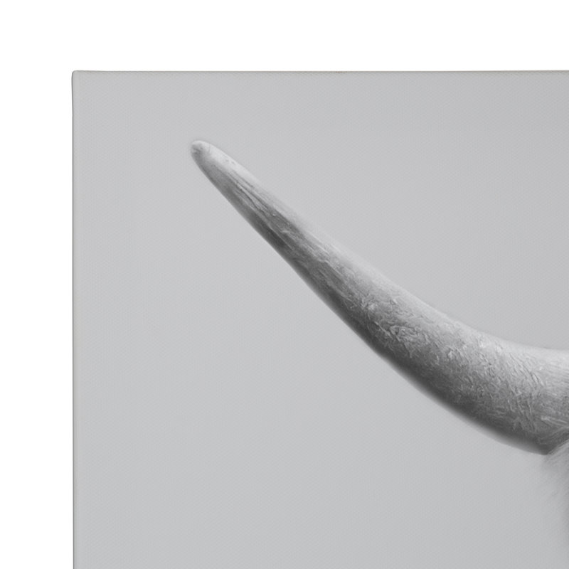 Drumheller «Hey Dude Highland Cow Grey», ensemble de 2 impressions sur toile tendue