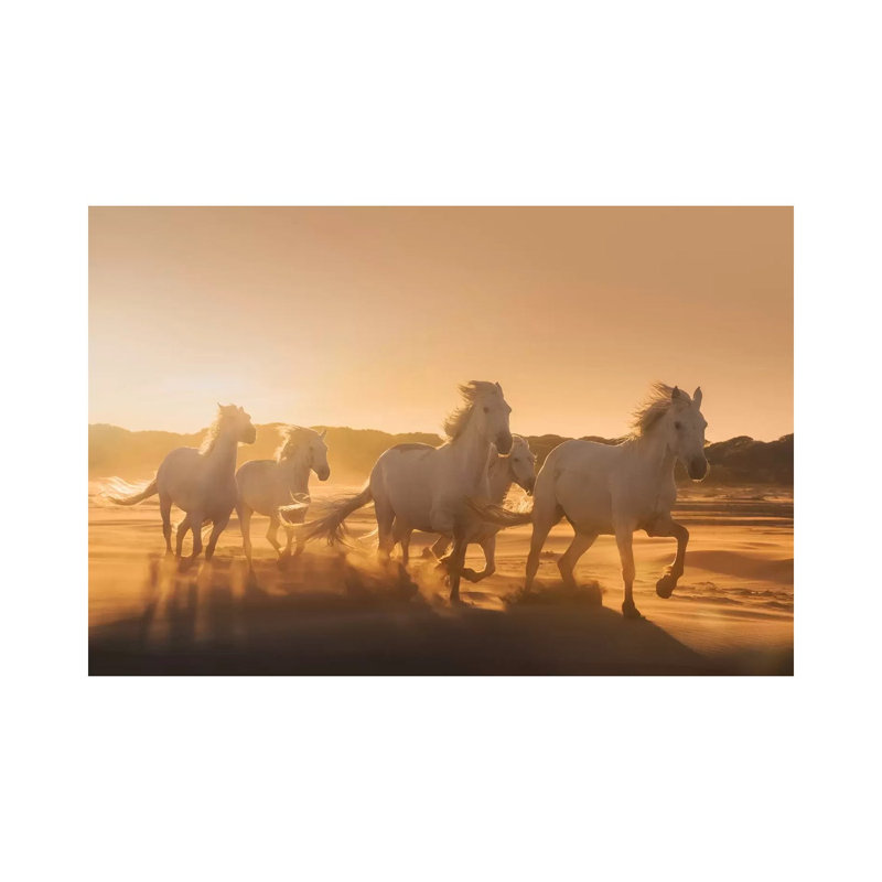 White Angels Of Camargue XLI by Daniel Kordan - Wrapped Canvas Gallery-Wrapped Canvas Giclée, 20.32 cm H x 30.48 cm W