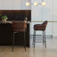 Counter Stool with Metal Frame-109706037