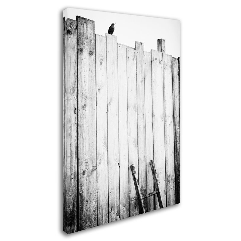 « freeed », reproduction sur toile tendue, H 19 po x l 12 po
