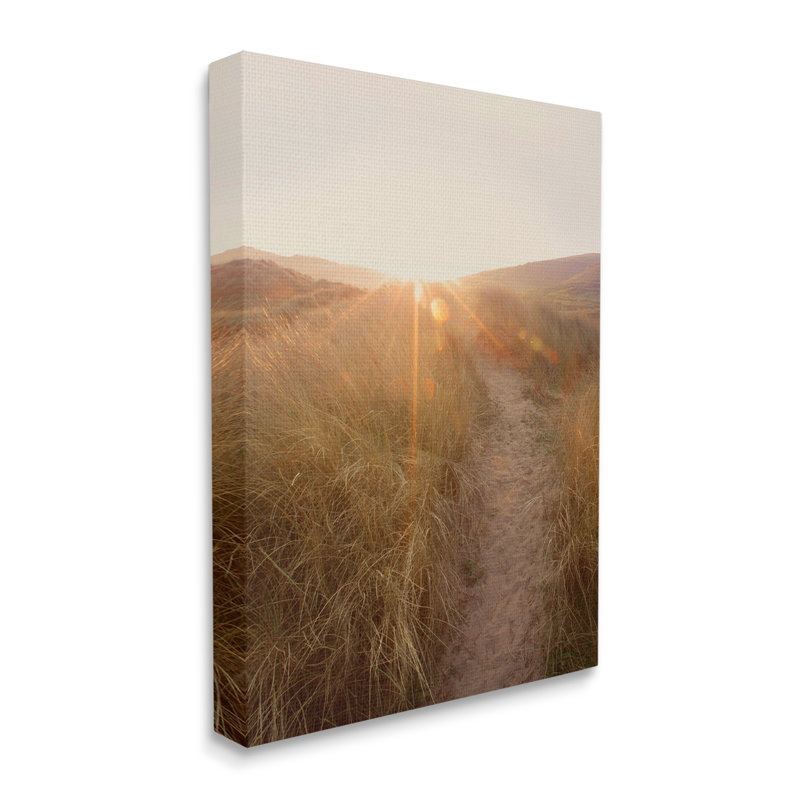 «Sunrays Through Sun Bleached Sand Dunes Tall Grass» par Ian Winistanley - photographie, H 20 po x l 16 po, Toile tendue
