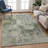 Machine Washable Indoor/Outdoor Francky ACN2360 Casual Rug-978046274